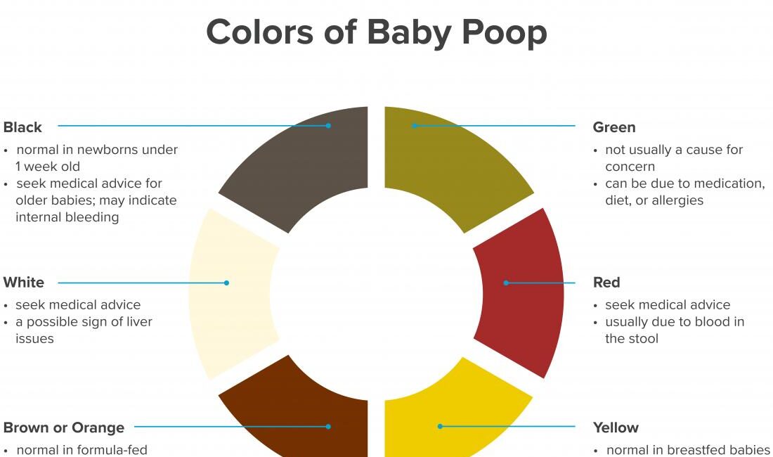 a-color-wheel-infographic-showing-the-colours-of-baby-poop