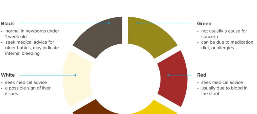 a-color-wheel-infographic-showing-the-colours-of-baby-poop